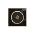 کلید و پریز ویرا مدل آلفا کلاسیک مشکی طلایی - تصویر 8